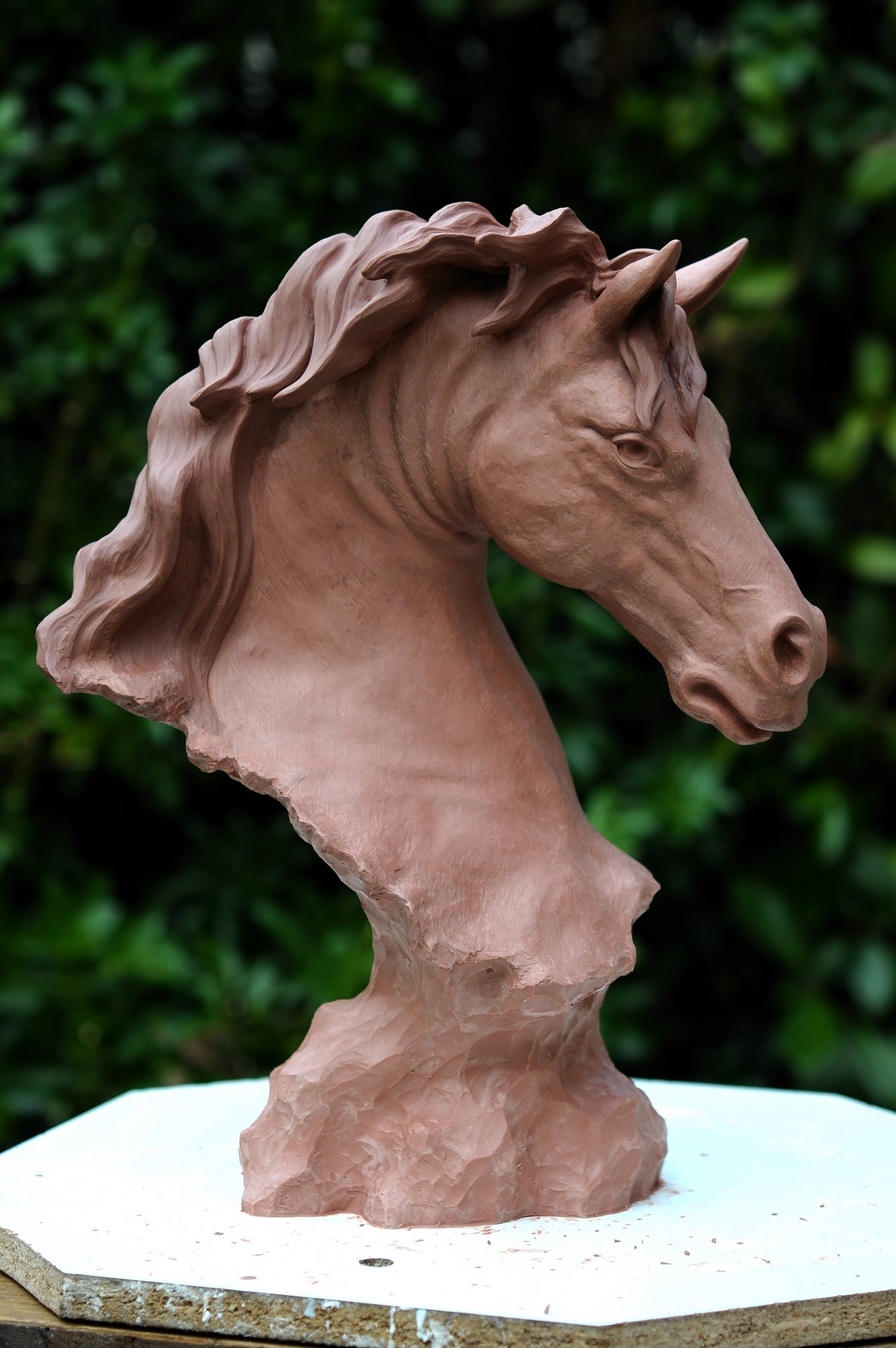 plast chavant medium01